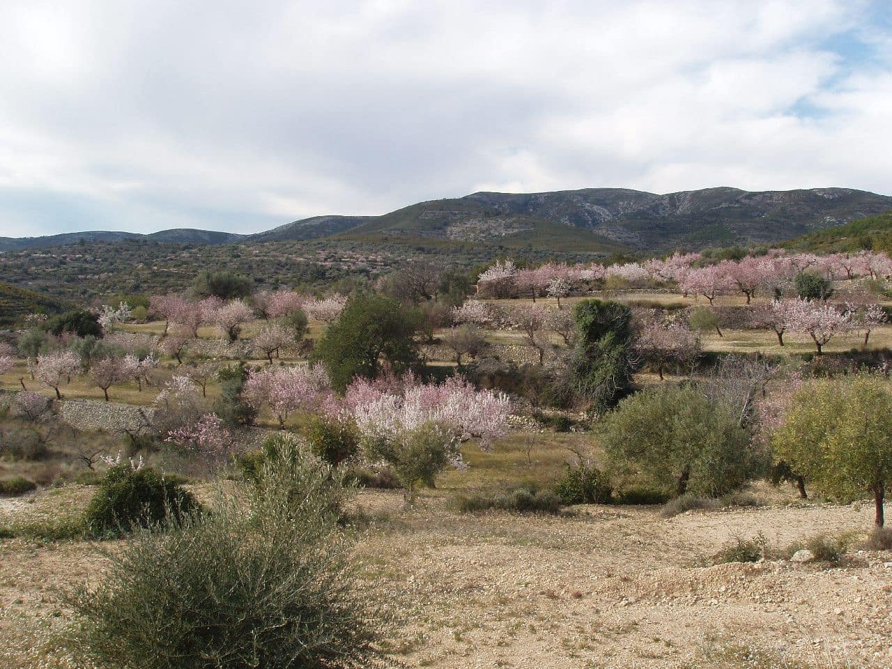 Finca/Herregård til salgs i Calig - € 39 000 (Ref: 6489231)