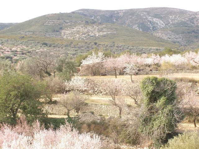 Finca/Country House for sale in Càlig - € 39,000 (Ref: 6489231)