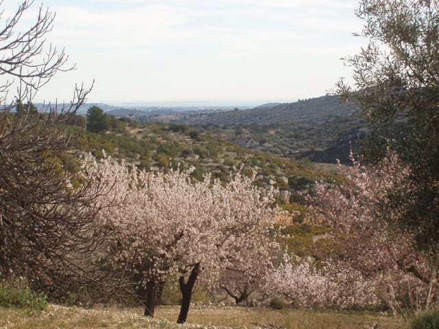 Finca/Country House for sale in Càlig - € 39,000 (Ref: 6489231)