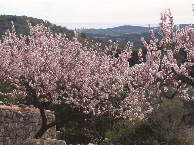 Finca/Country House for sale in Càlig - € 39,000 (Ref: 6489231)