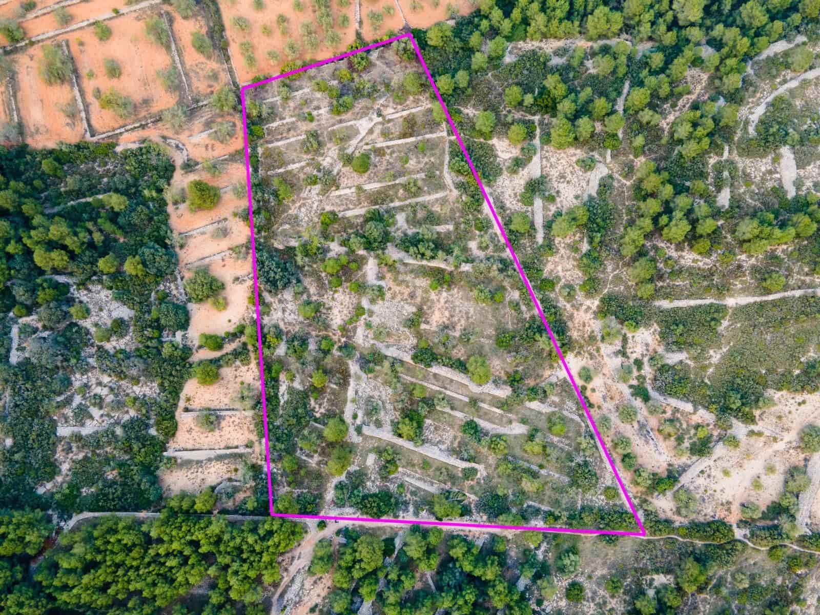 Finca/Landehus til salg i Vinaros - € 20.000 (Ref: 6489245)