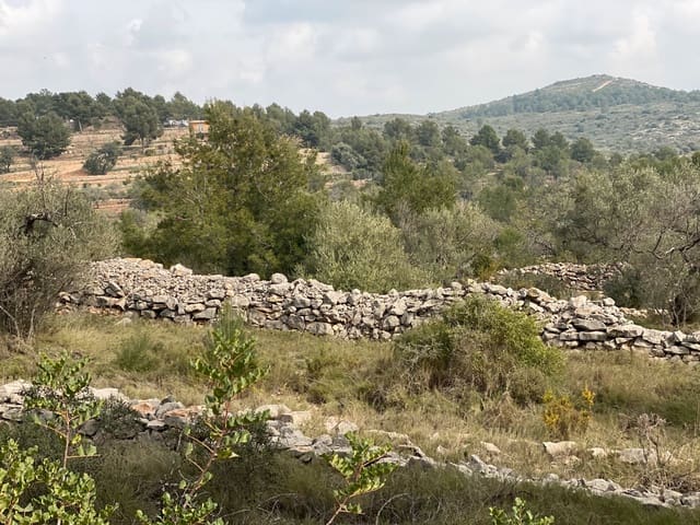 Finca/Country House for sale in Vinaròs - € 20,000 (Ref: 6489245)