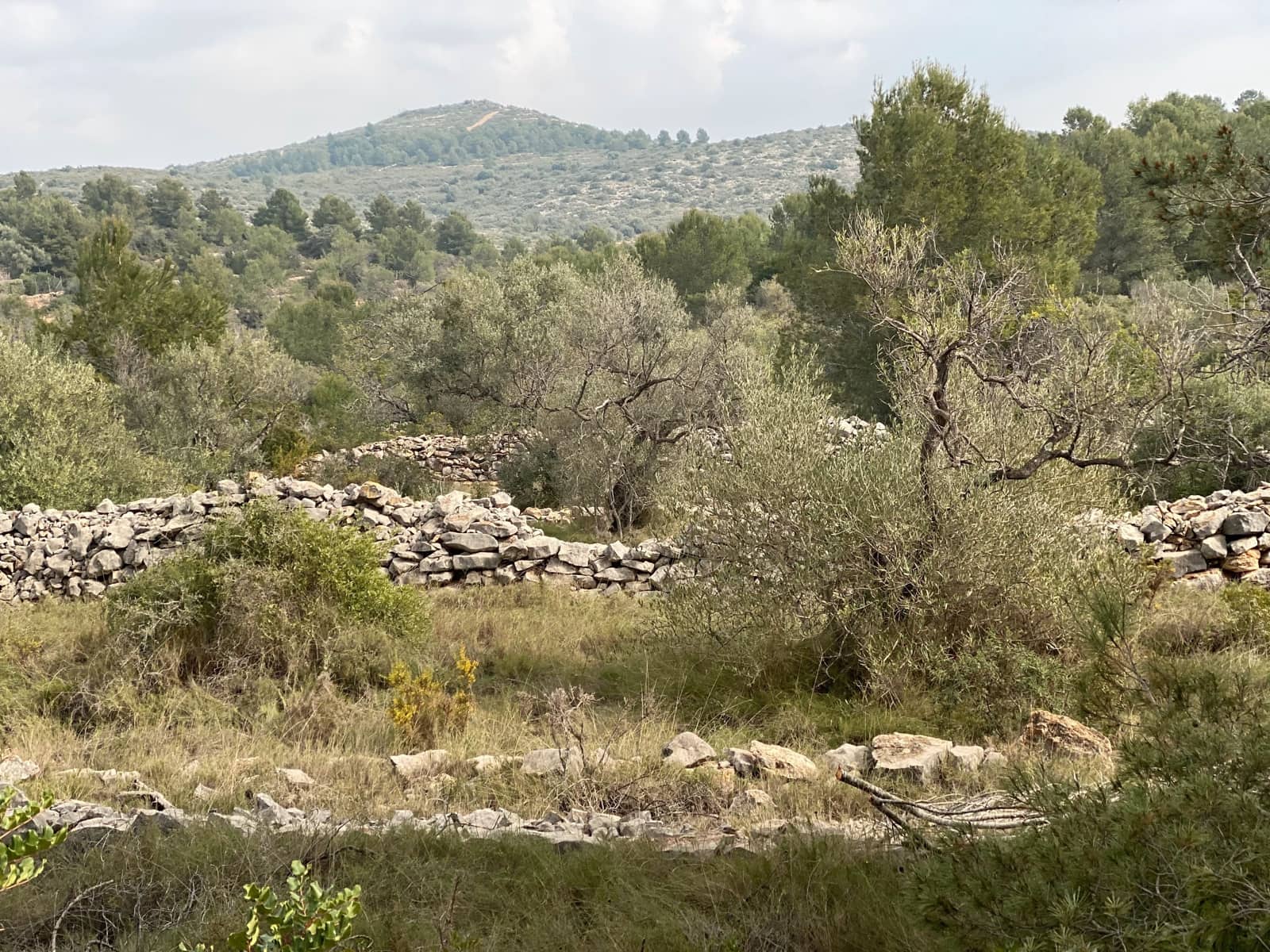 Finca/Landehus til salg i Vinaros - € 20.000 (Ref: 6489245)