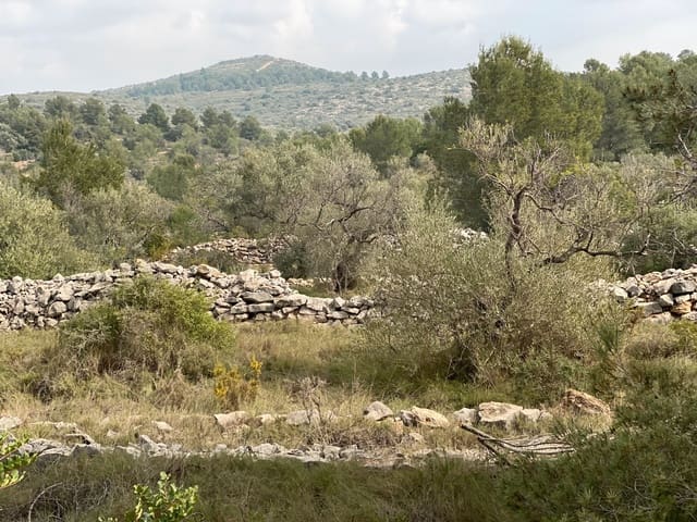 Finca/Country House for sale in Vinaròs - € 20,000 (Ref: 6489245)