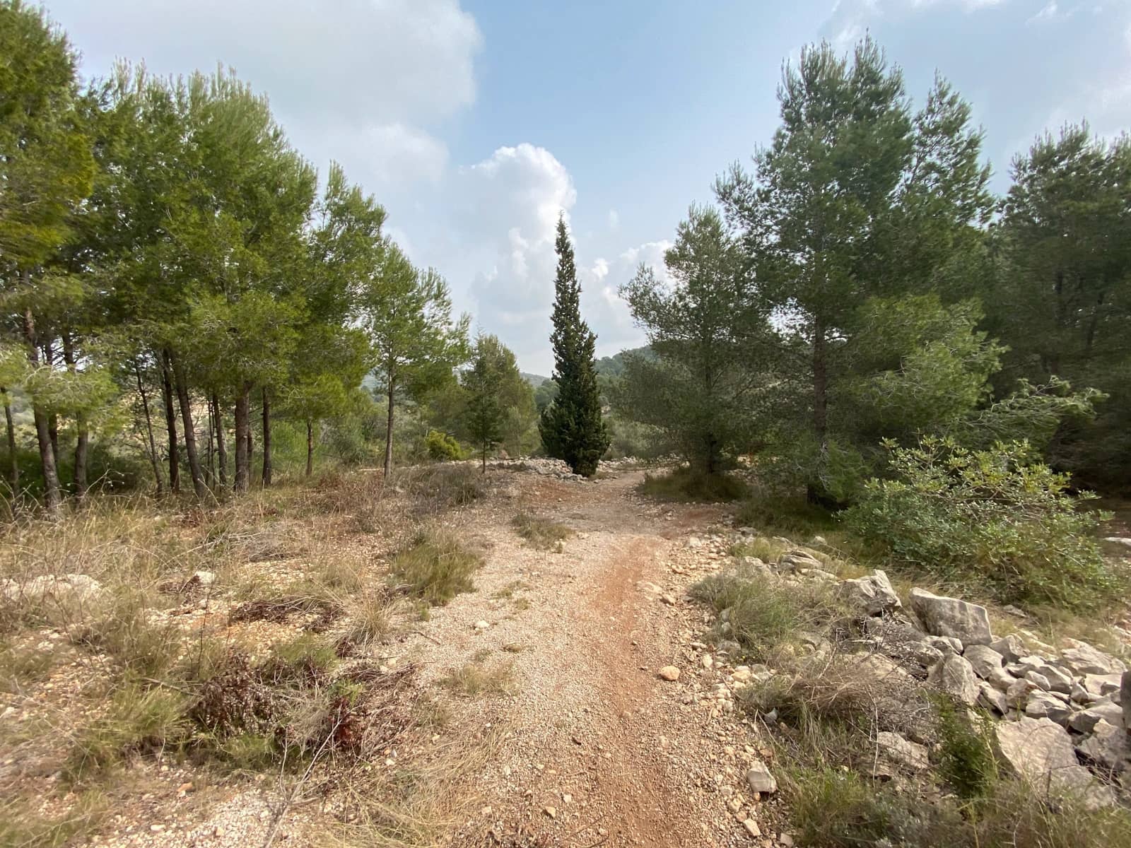 Finca/Landehus til salg i Vinaros - € 20.000 (Ref: 6489245)