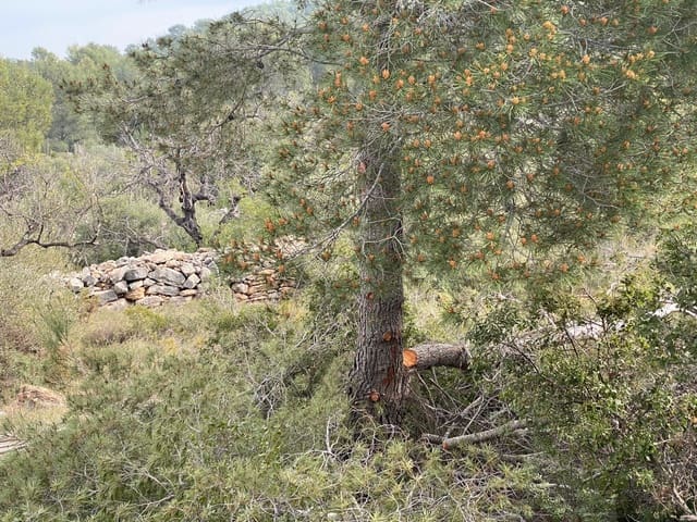 Finca/Country House for sale in Vinaròs - € 20,000 (Ref: 6489245)