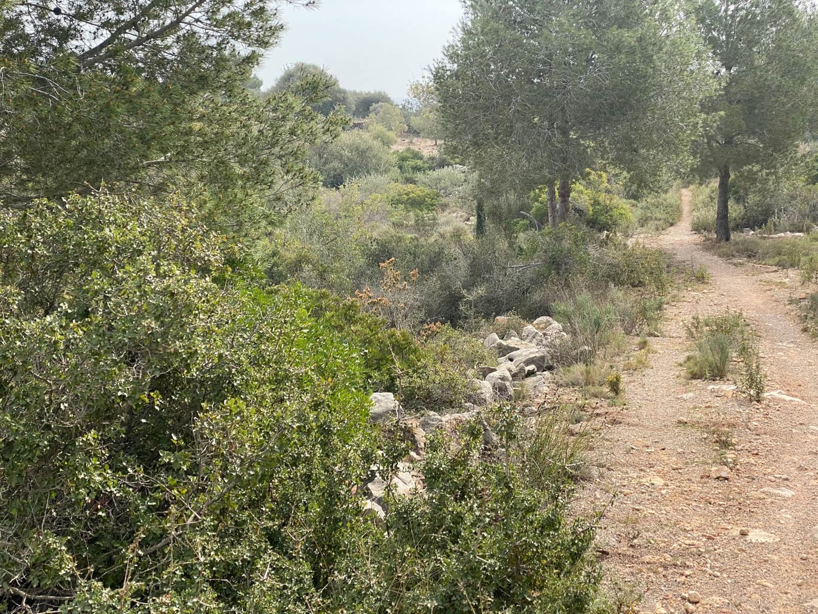 Finca/Landehus til salg i Vinaros - € 20.000 (Ref: 6489245)