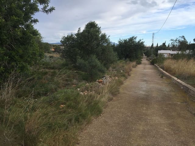 Grond te koop in Peñíscola - € 170.000 (Ref: 6489290)