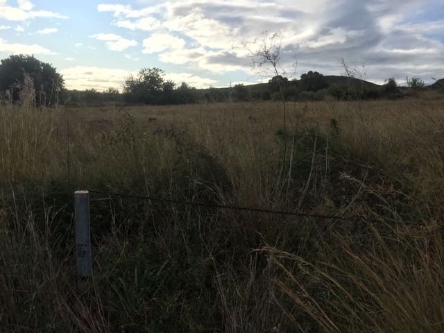 Grond te koop in Peñíscola - € 170.000 (Ref: 6489290)