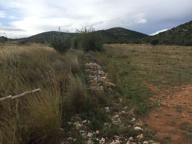 Grond te koop in Peñíscola - € 170.000 (Ref: 6489290)