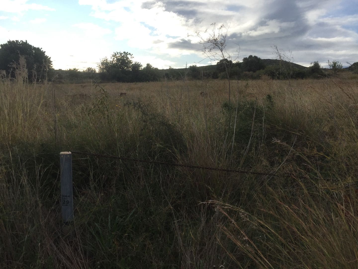 Landgrundstück zu verkaufen in Peniscola - 170.000 € (Ref: 6489290)