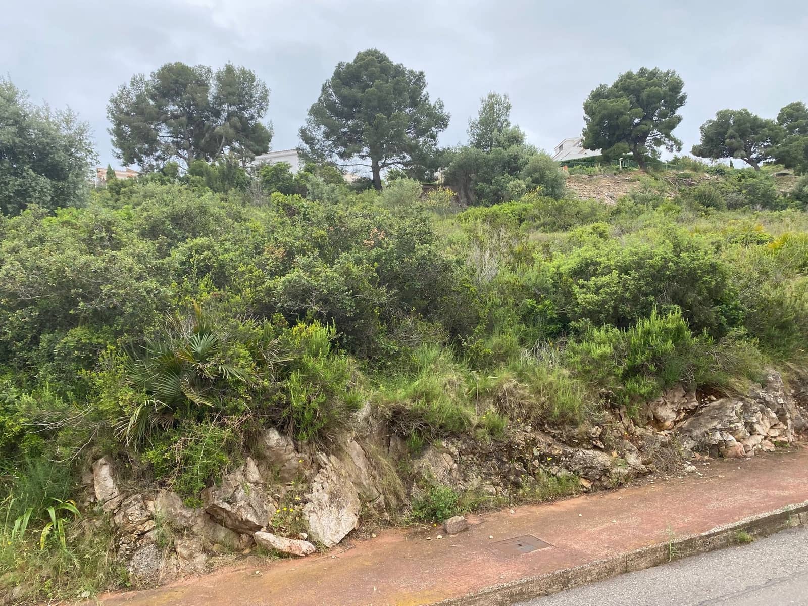 Grunde uden byggetilladelser til salg i Peniscola - € 48.000 (Ref: 8647035)