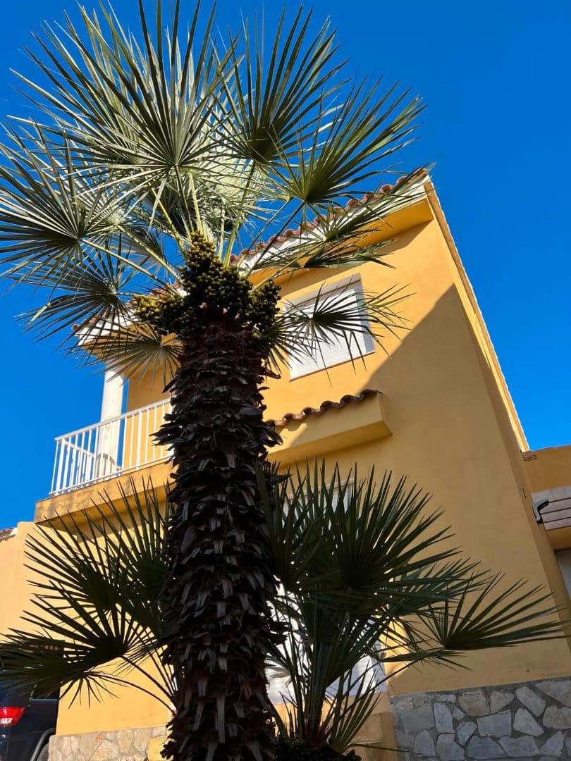 3 soverom Villa til salgs i Peniscola med garasje - € 373 000 (Ref: 8939161)