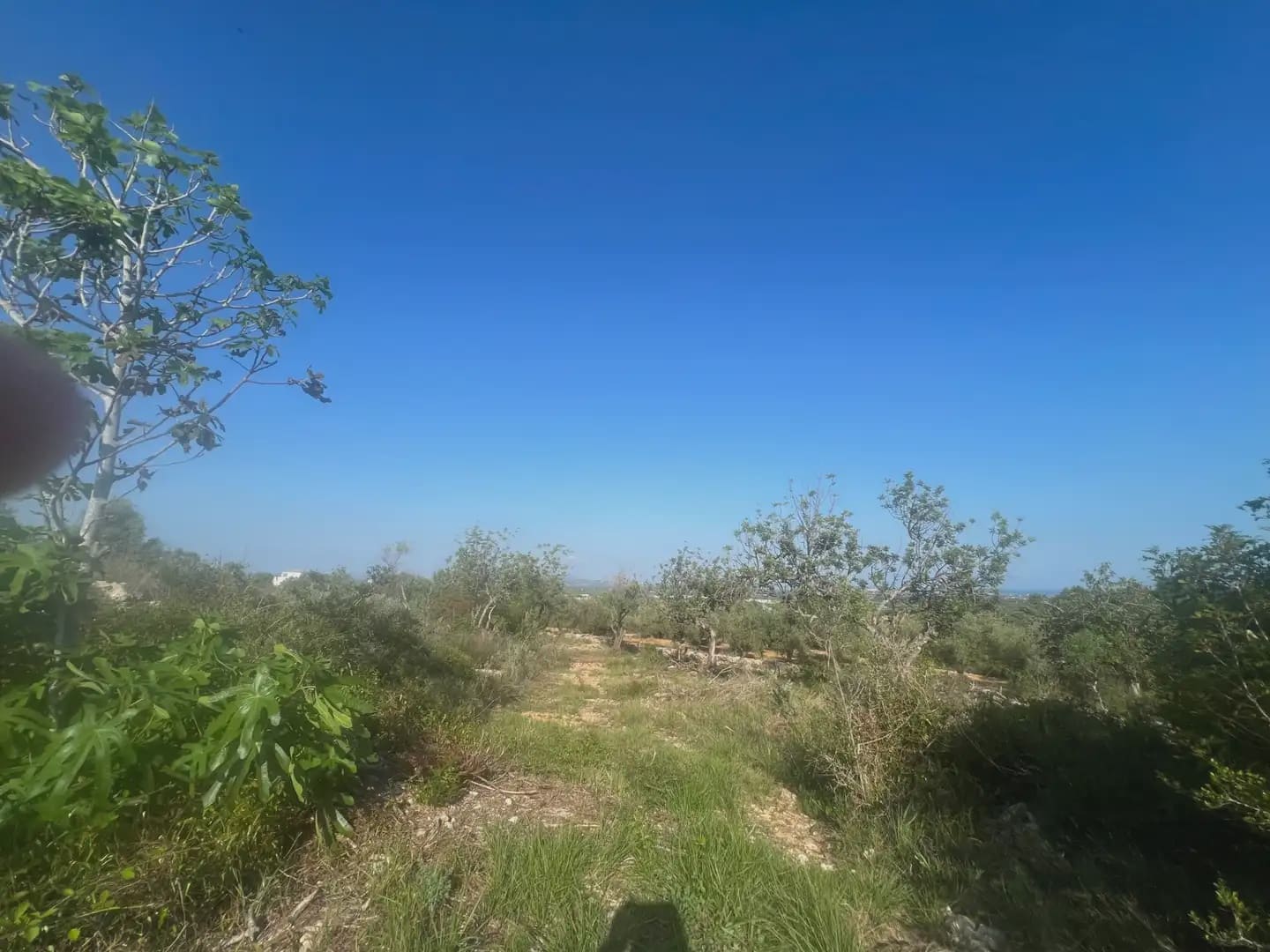 Tomt till salu i Calig - 114 000 € (Ref: 9761494)