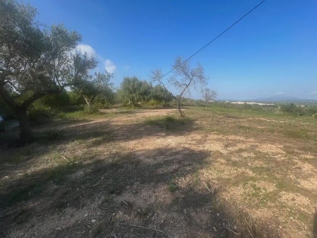 Bouwgrond te koop in Càlig - € 114.000 (Ref: 9761494)