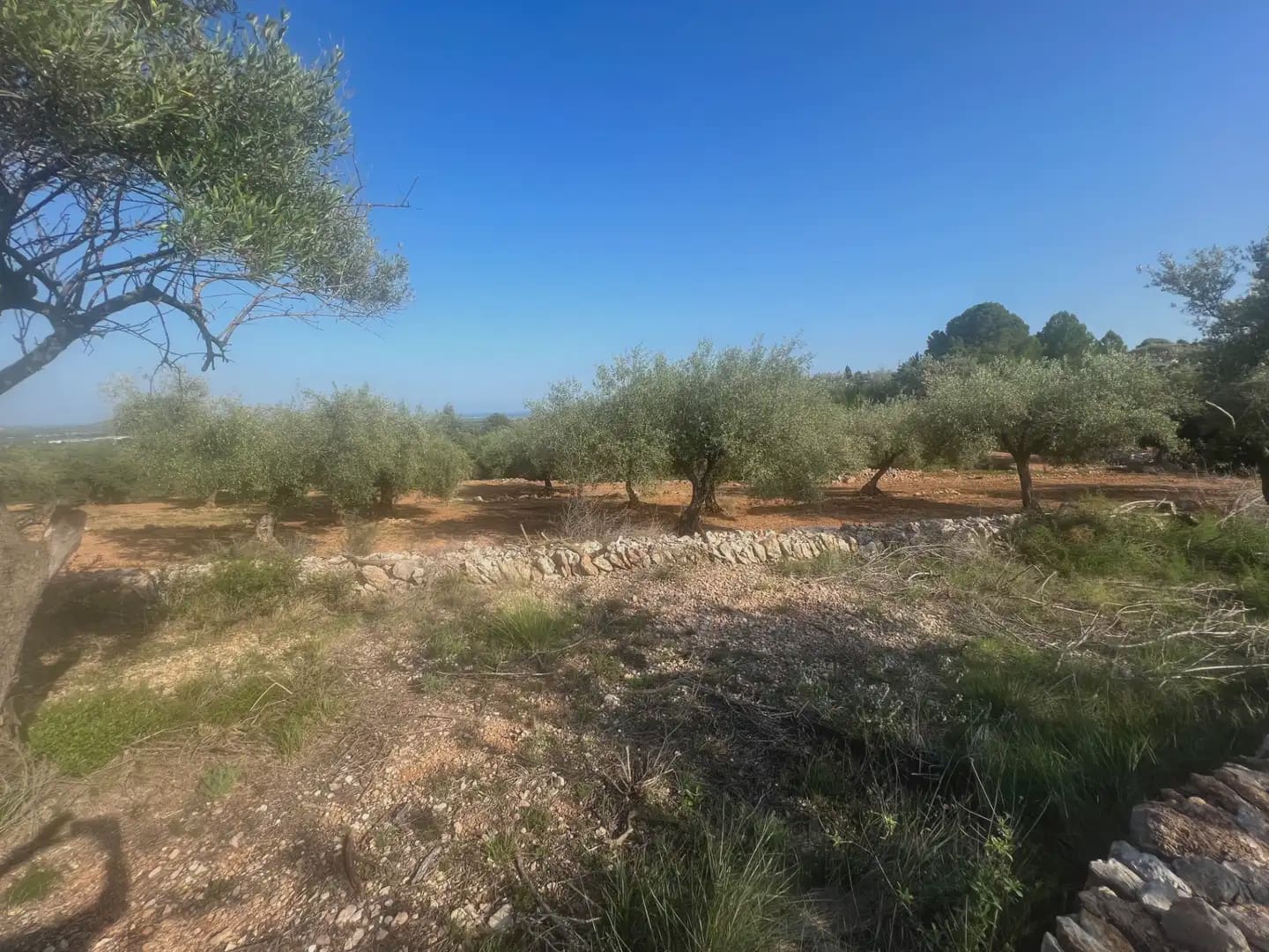 Tomt till salu i Calig - 114 000 € (Ref: 9761494)