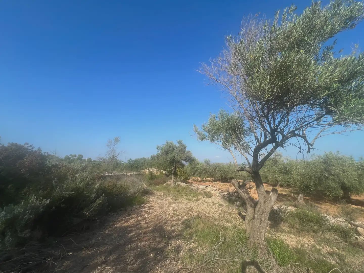 Tomt till salu i Calig - 114 000 € (Ref: 9761494)