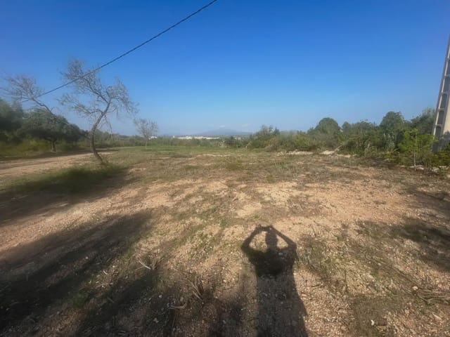 Bouwgrond te koop in Càlig - € 114.000 (Ref: 9761494)