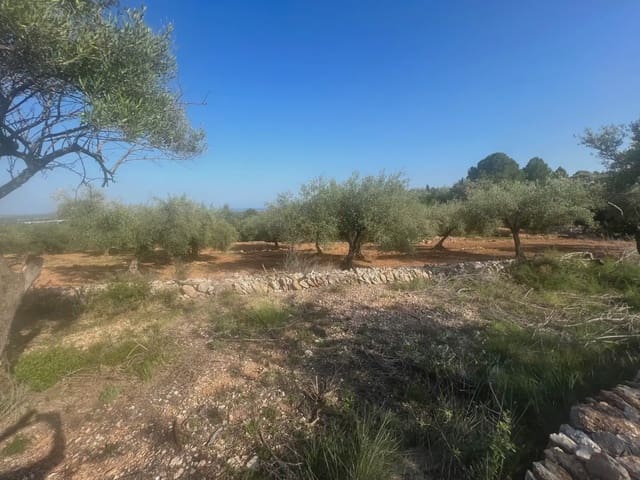 Bouwgrond te koop in Càlig - € 114.000 (Ref: 9761494)