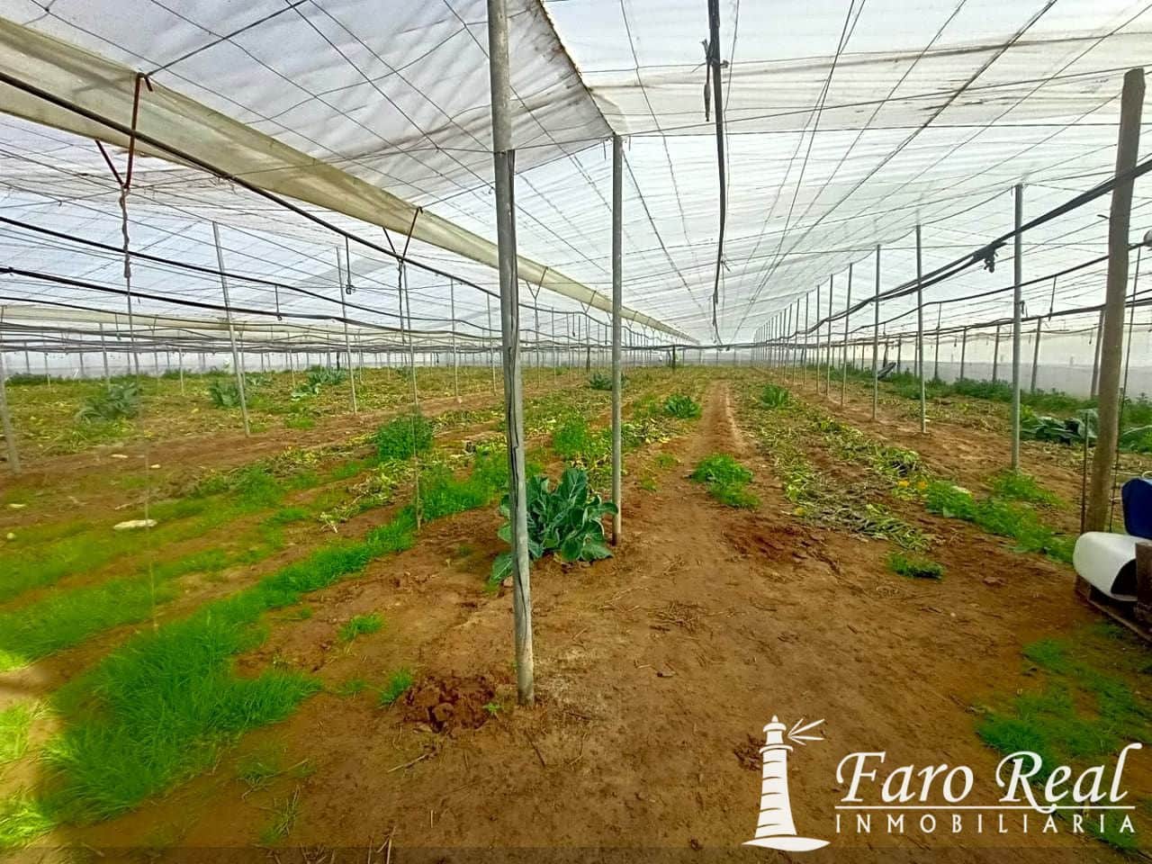 Ubebygd land til salgs i Sanlucar de Barrameda - € 85 000 (Ref: 9420131)