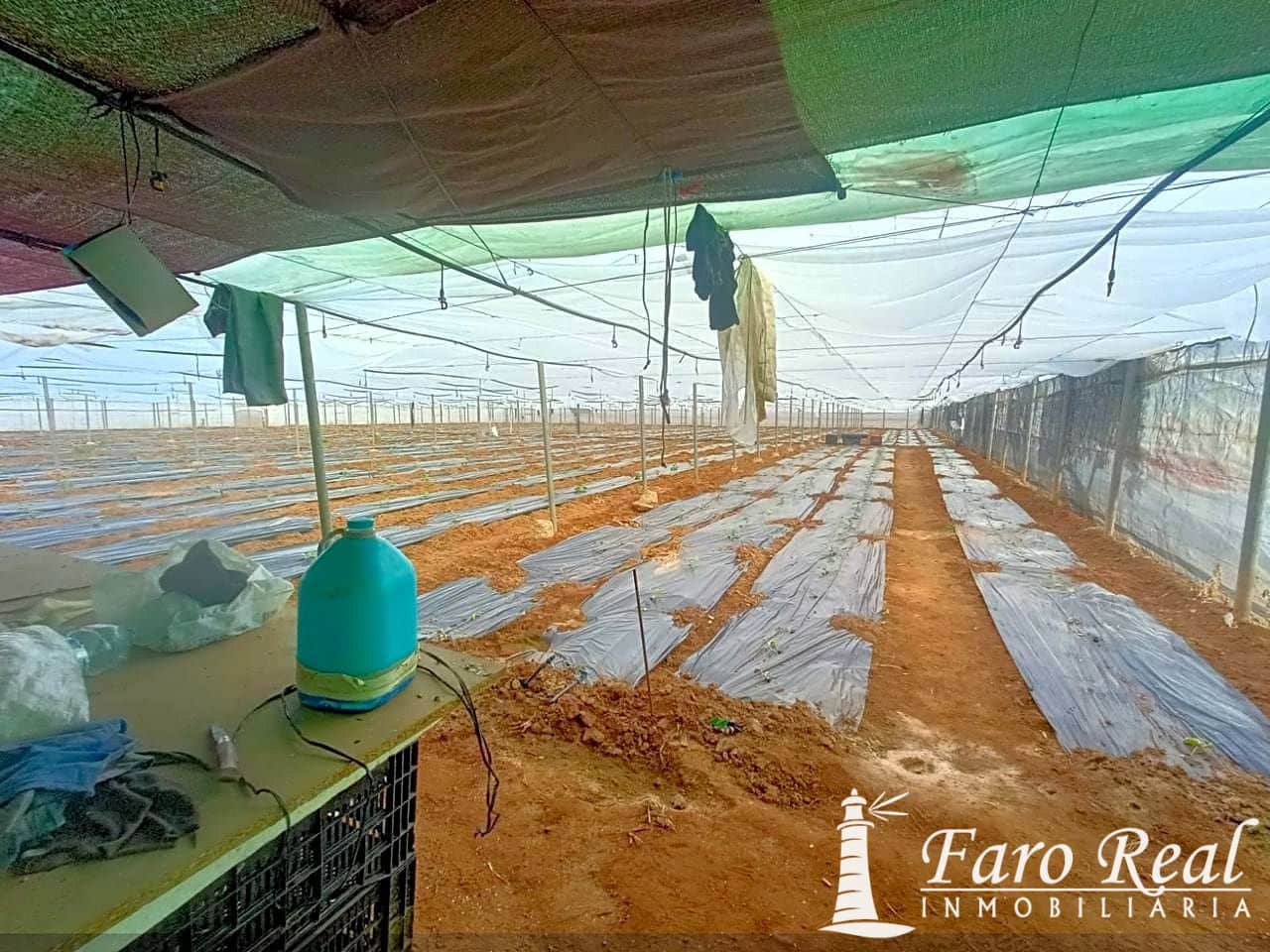 Ubebygd land til salgs i Sanlucar de Barrameda - € 85 000 (Ref: 9420131)