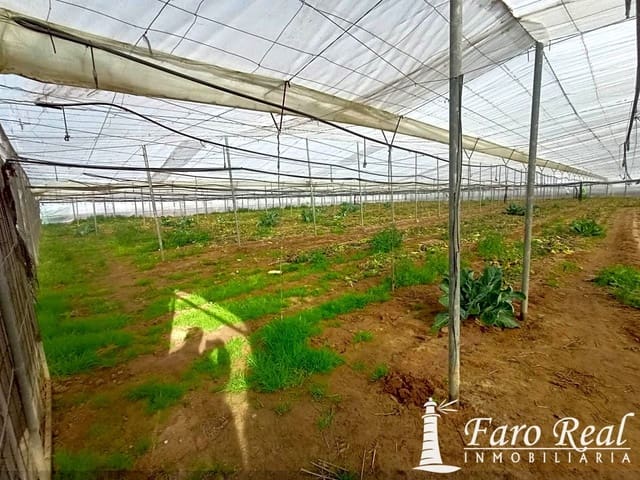 Ubebygd land til salgs i Sanlúcar de Barrameda - € 85 000 (Ref: 9420131)