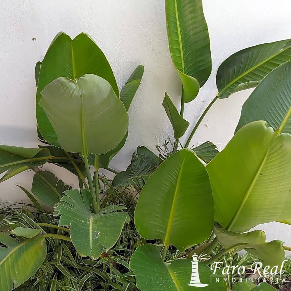 5 bedroom Villa for sale in Sanlucar de Barrameda with pool garage - € 750,000 (Ref: 9420133)