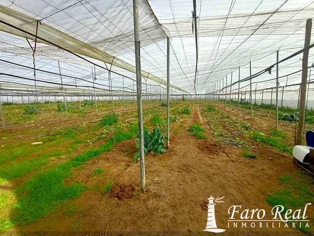 4 chambre Finca/Maison de Campagne à vendre à Sanlúcar de Barrameda - 600 000 € (Ref: 9420142)