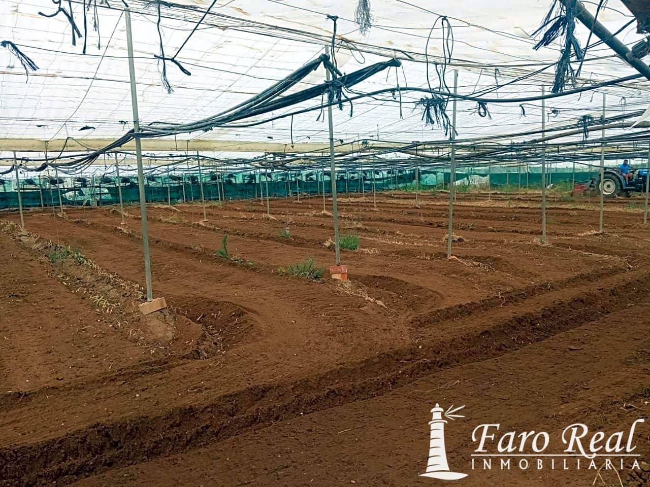 Ubebygd land til salgs i Chipiona - € 80 000 (Ref: 9420143)