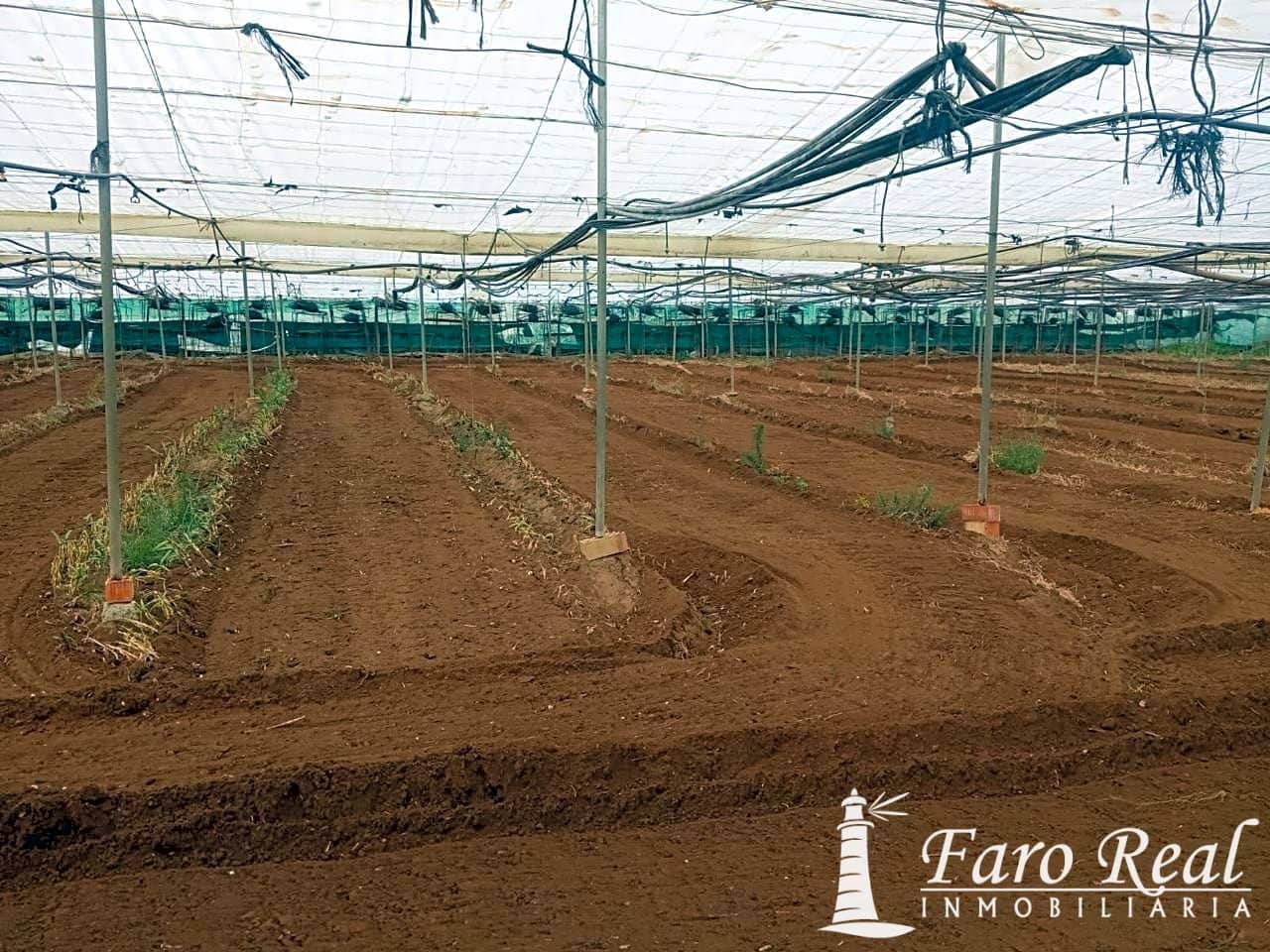 Ubebygd land til salgs i Chipiona - € 80 000 (Ref: 9420143)