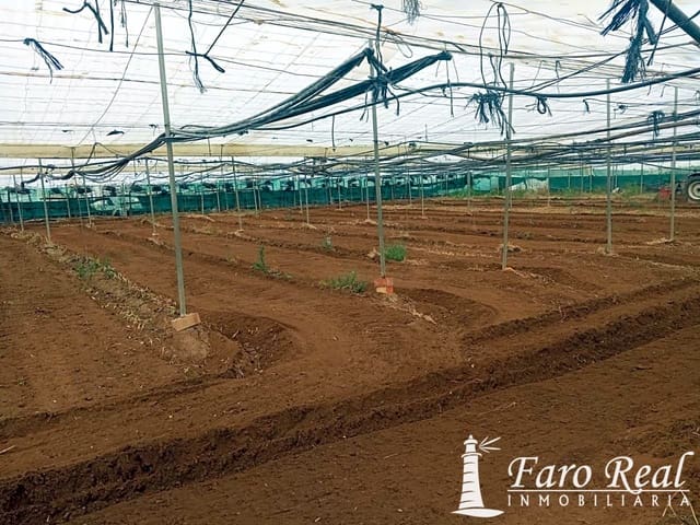 Ubebygd land til salgs i Chipiona - € 80 000 (Ref: 9420143)