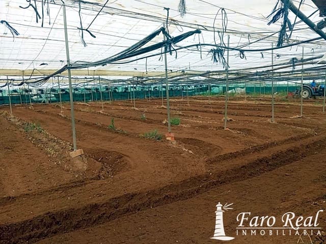 Ubebygd land til salgs i Chipiona - € 80 000 (Ref: 9420143)