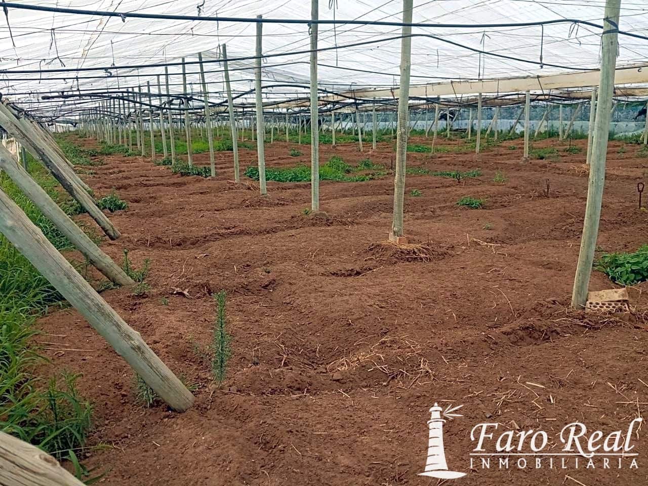 Ubebygd land til salgs i Chipiona - € 80 000 (Ref: 9420143)