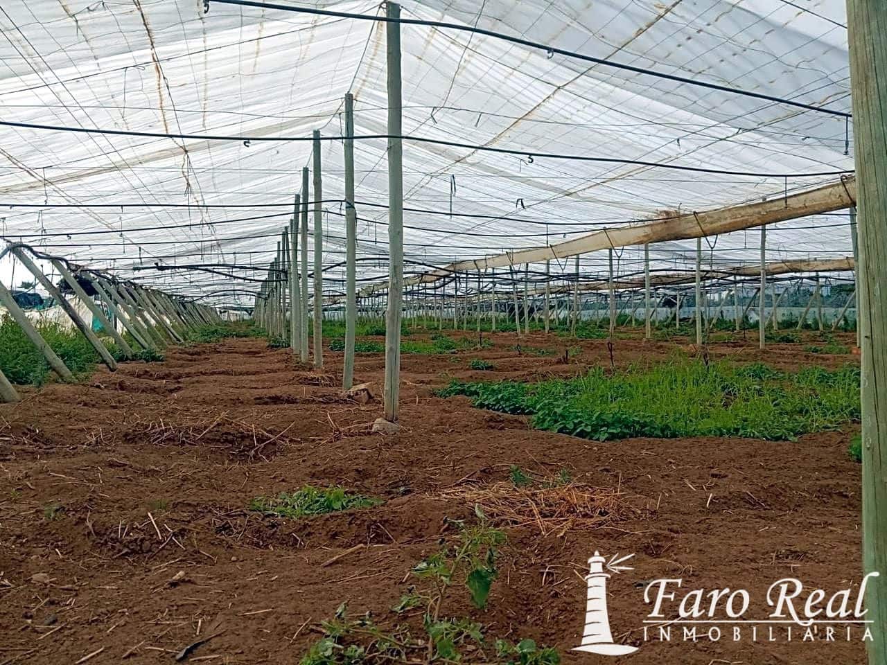 Ubebygd land til salgs i Chipiona - € 80 000 (Ref: 9420143)