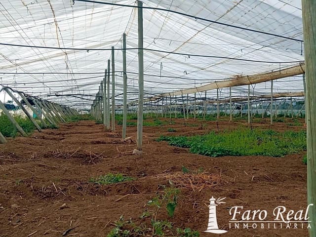 Ubebygd land til salgs i Chipiona - € 80 000 (Ref: 9420143)