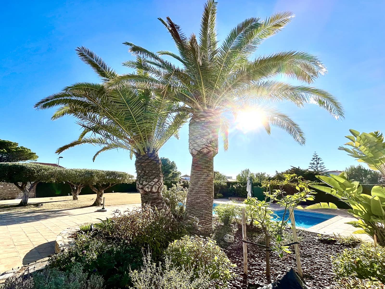 6 soveværelse Villa til salg i Calafat med swimmingpool garage - € 1.250.000 (Ref: 8252446)