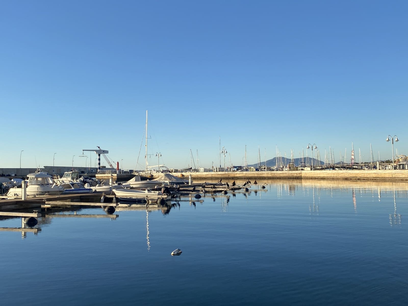 5 soveværelse Villa til salg i L'Ampolla med swimmingpool garage - € 945.000 (Ref: 8734448)