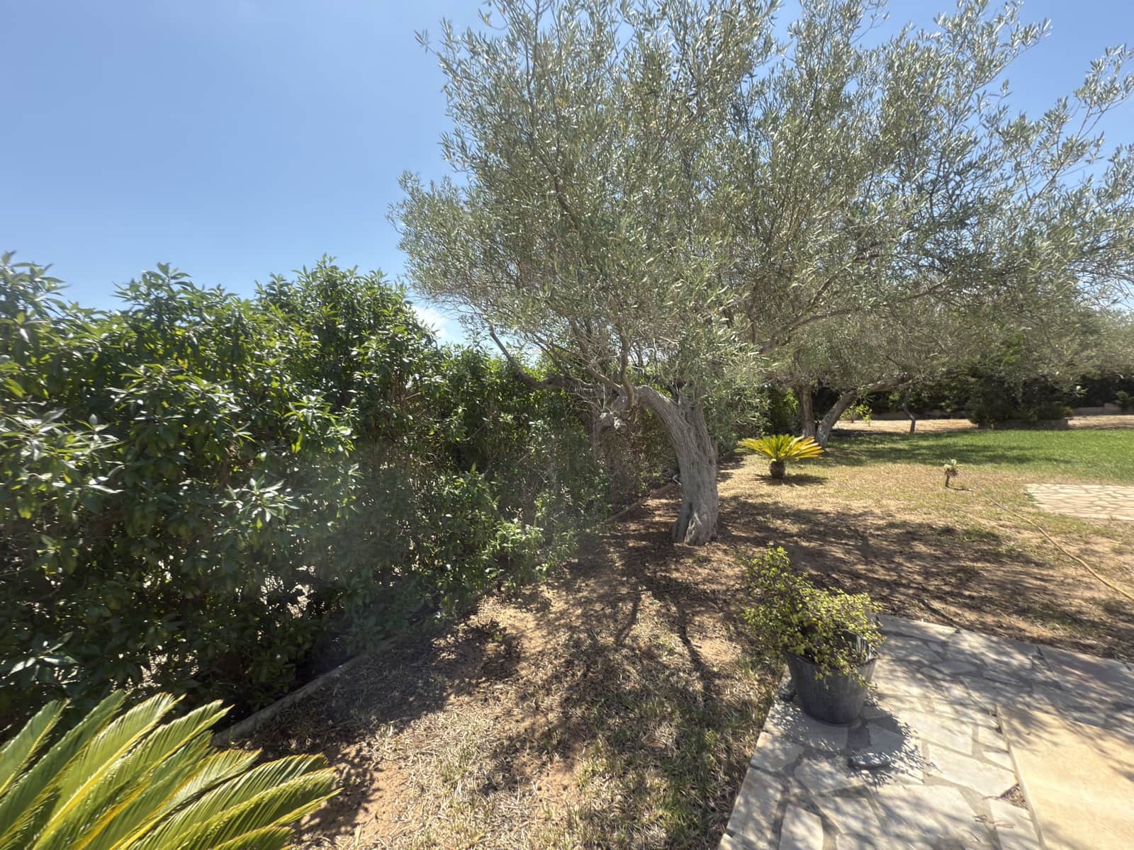 3 soveværelse Bungalow til salg i L'Ampolla med swimmingpool garage - € 299.000 (Ref: 9130139)