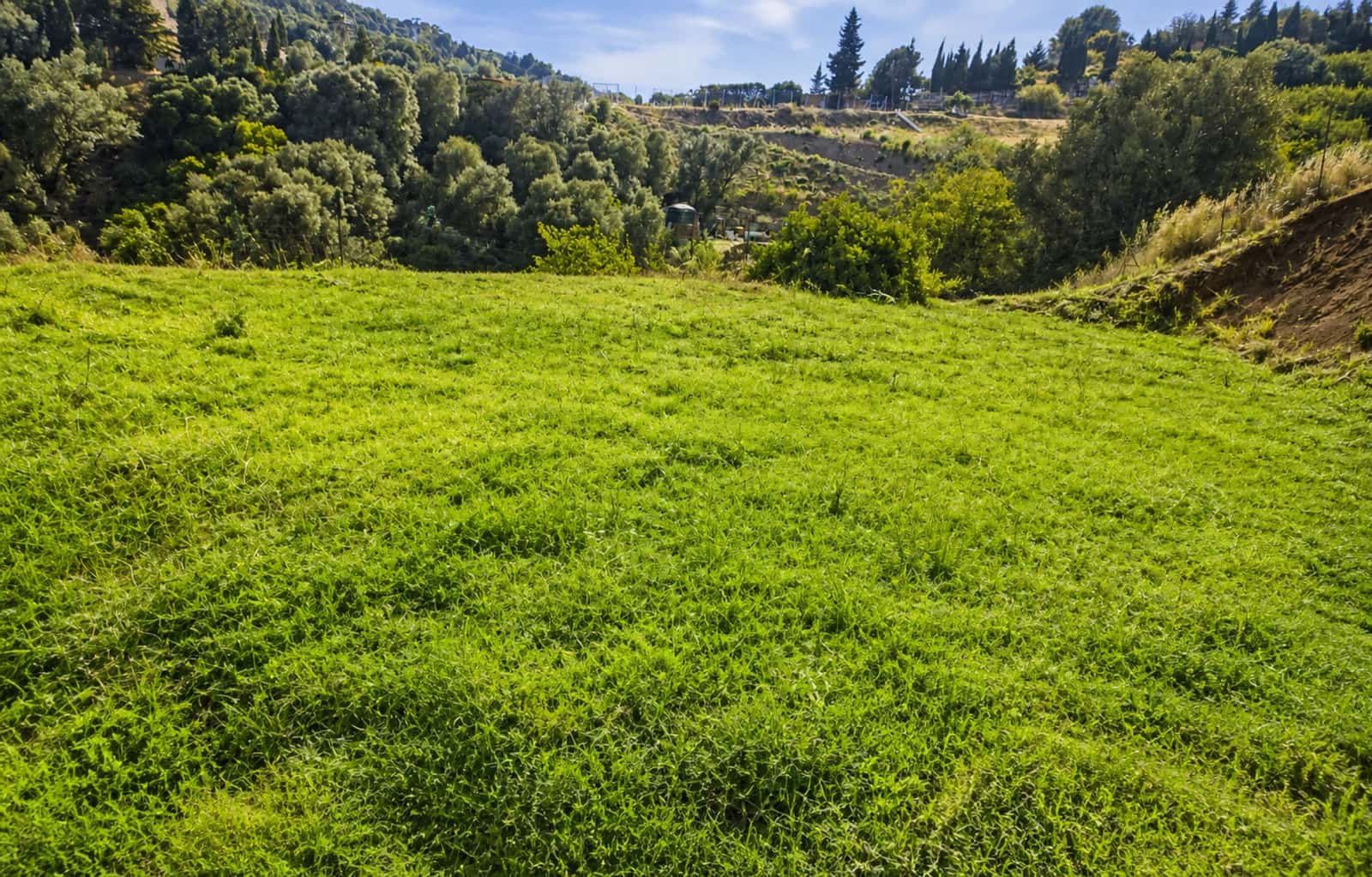 Działka budowlana na sprzedaż w Estepona - 170 000 € (Ref: 10011140)