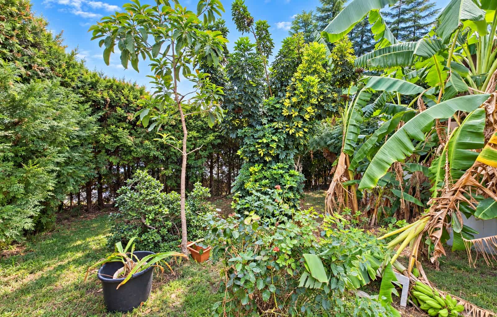 5 soveværelse Semi-Rækkehus til salg i Estepona - € 790.000 (Ref: 10142357)