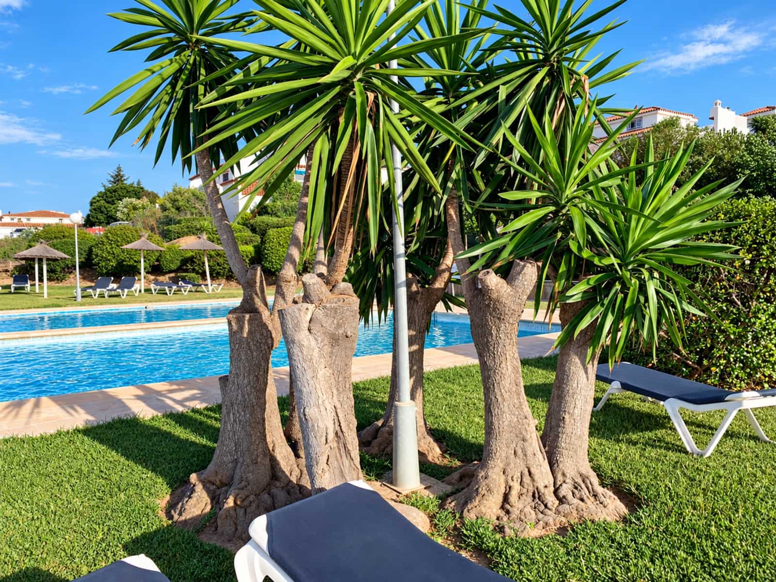 Pareado de 3 habitaciones en La Duquesa / Puerto de la Duquesa en venta con piscina - 329.000 € (Ref: 10171207)