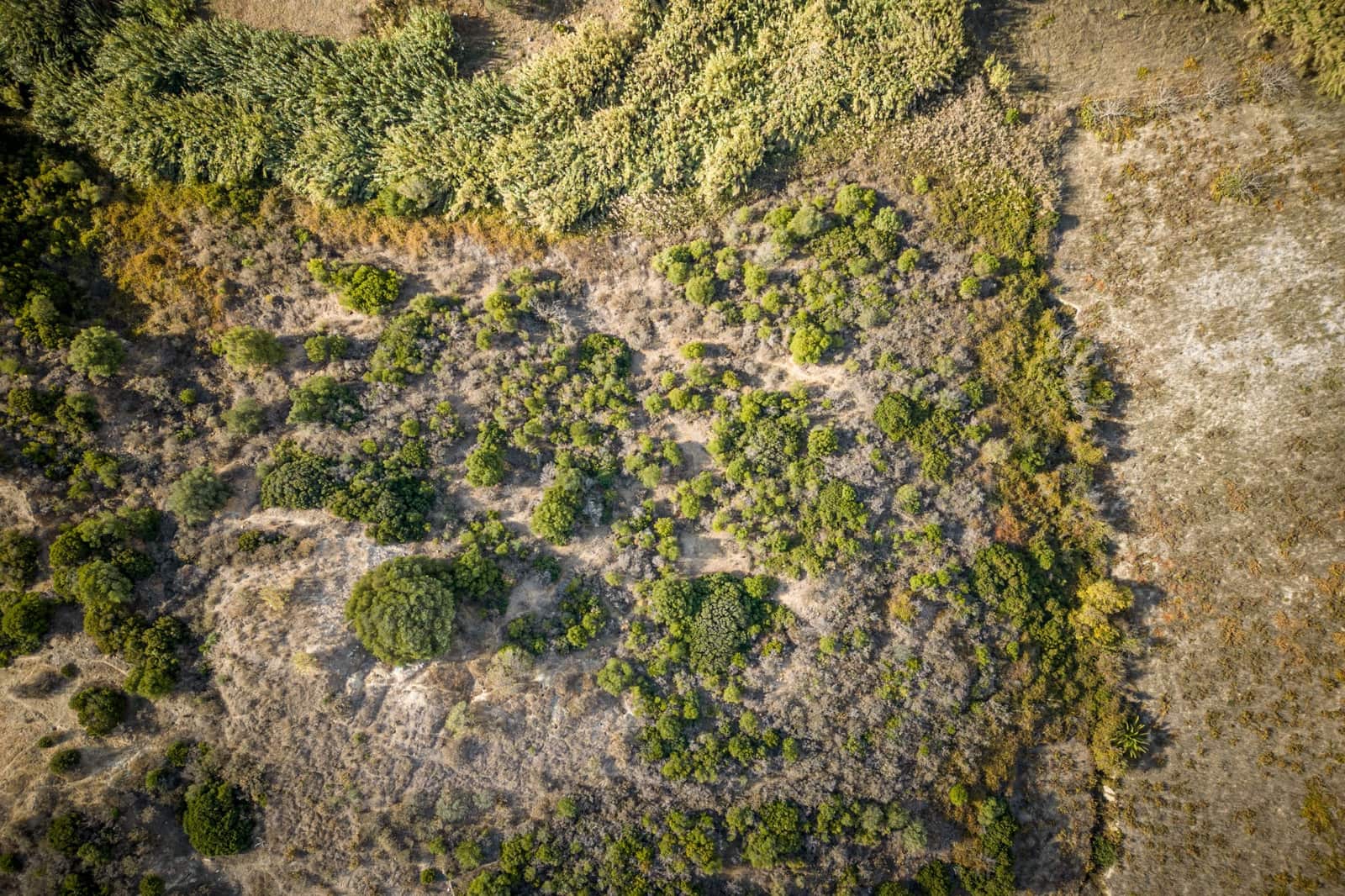 Finca/Casa Rural de 2 habitaciones en Manilva en venta - 692.000 € (Ref: 7793057)