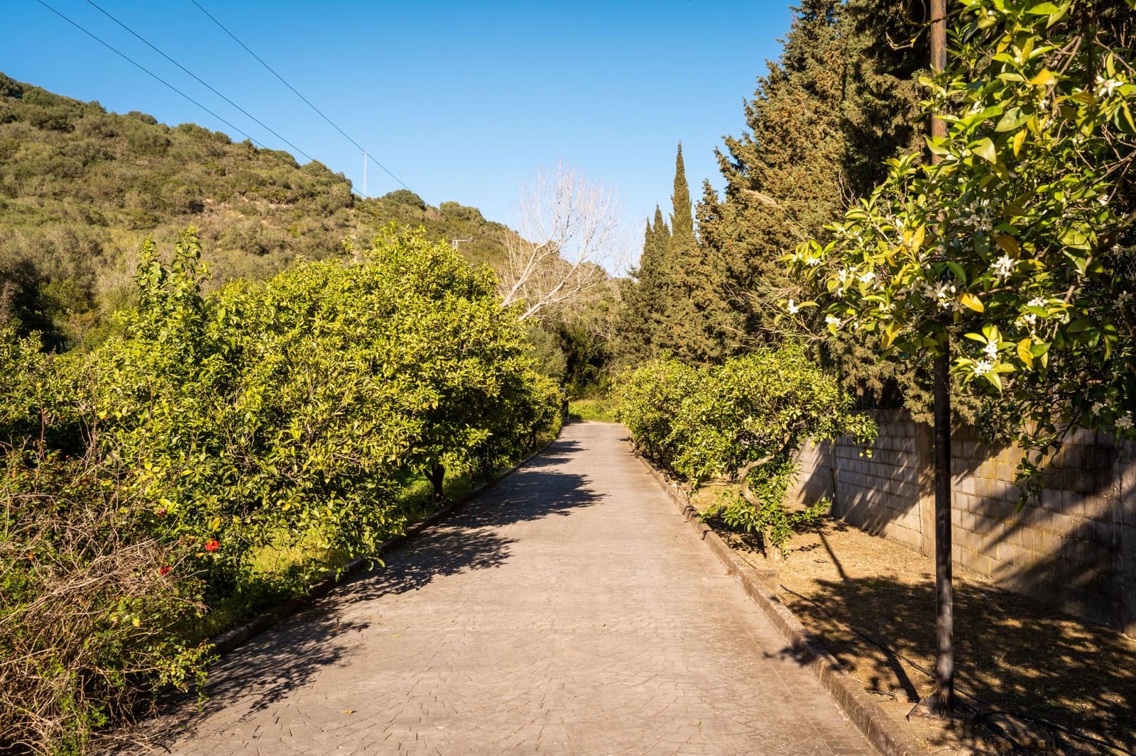 5 soveværelse Finca/Landehus til salg i San Martin del Tesorillo med swimmingpool garage - € 690.000 (Ref: 7793081)