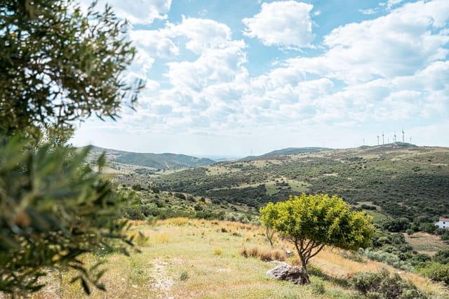 1 Zimmer Finca/Landgut zu verkaufen in Casares - 190.000 € (Ref: 7793105)