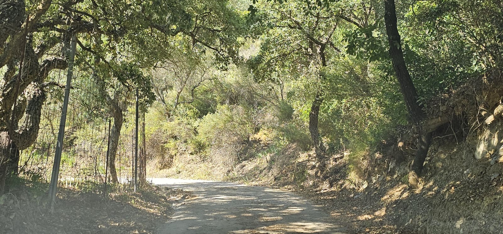 Building Plot for sale in Casares - € 480,000 (Ref: 7793121)