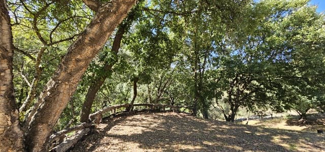 Building Plot for sale in Casares - € 480,000 (Ref: 7793121)