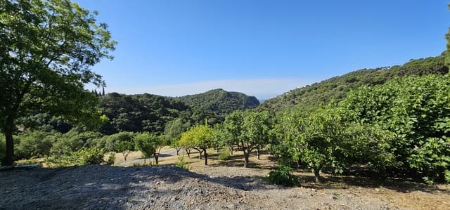 Building Plot for sale in Casares - € 480,000 (Ref: 7793121)