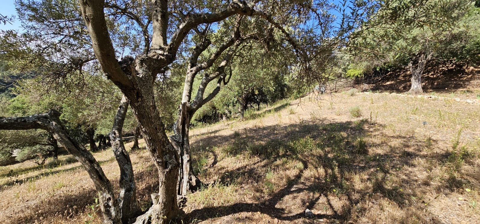 Building Plot for sale in Casares - € 480,000 (Ref: 7793121)