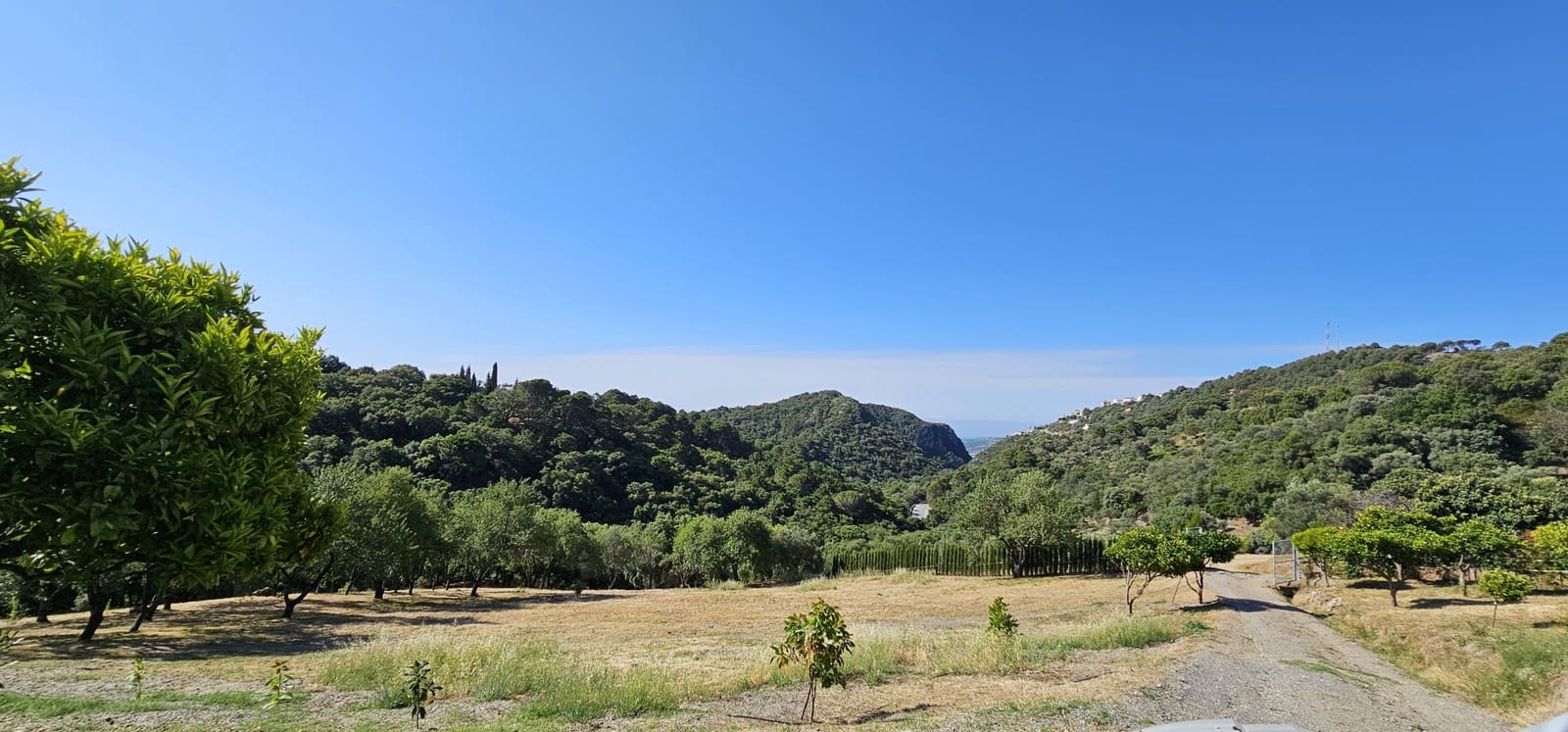 Building Plot for sale in Casares - € 480,000 (Ref: 7793121)