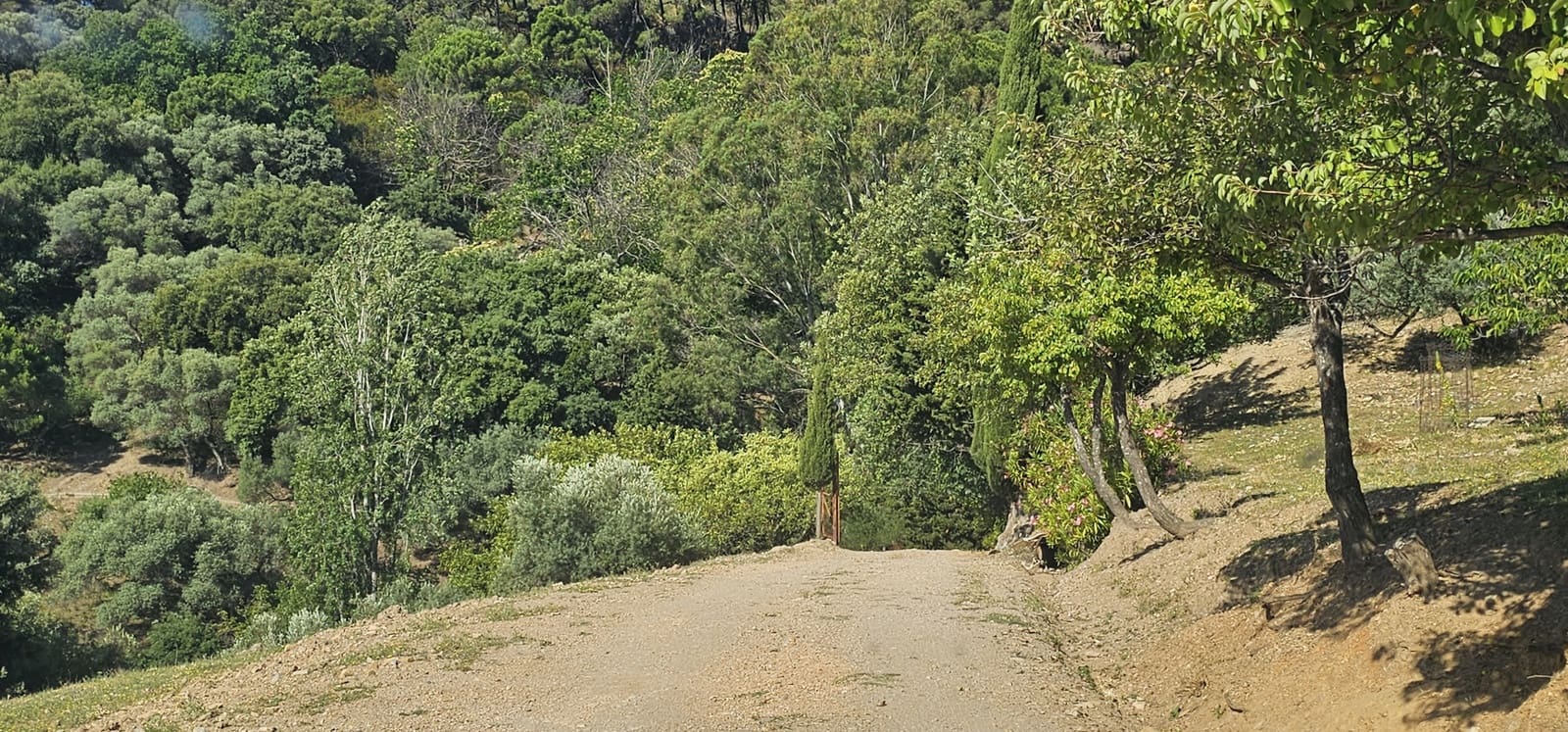 Building Plot for sale in Casares - € 480,000 (Ref: 7793121)